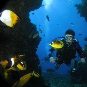 Scuba Diving with Tropical Fish off Lanai
