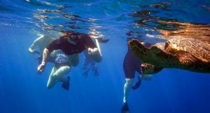Maui turtle island snorkel 360