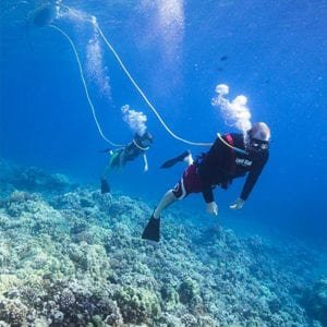 Snuba Diving in Molokini Crater