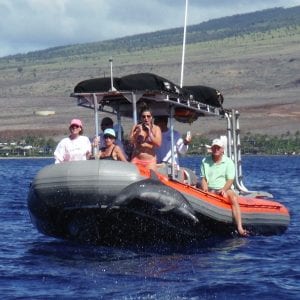 Dolphin Jumps in front of Captain Steve's Rafting Snorkel Boat