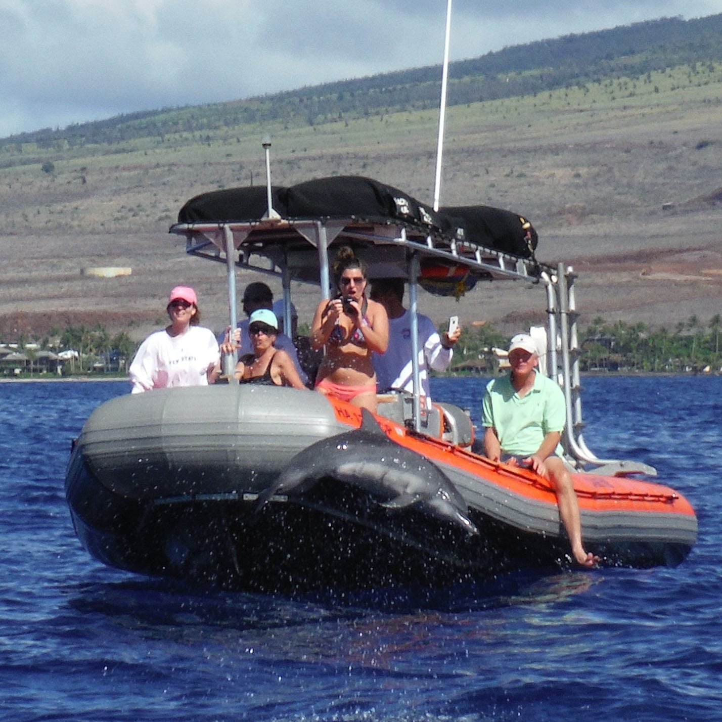 Captain Steve’s Rafting – Deluxe Lanai Dolphin Snorkel