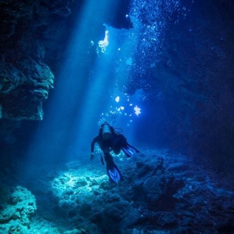 Diving Cathedrals off Lanai