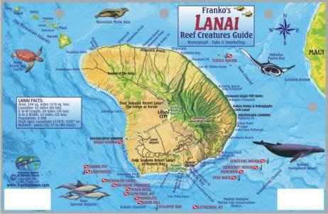 Maui Lanai reef creatures guide