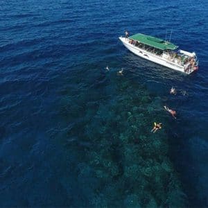 Kaanapali Ocean Adventures - Lanai Snorkel Tours (Swimming)