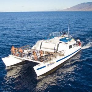 Malolo Charters - Molokini and Turtle Town Snorkel (Boat)