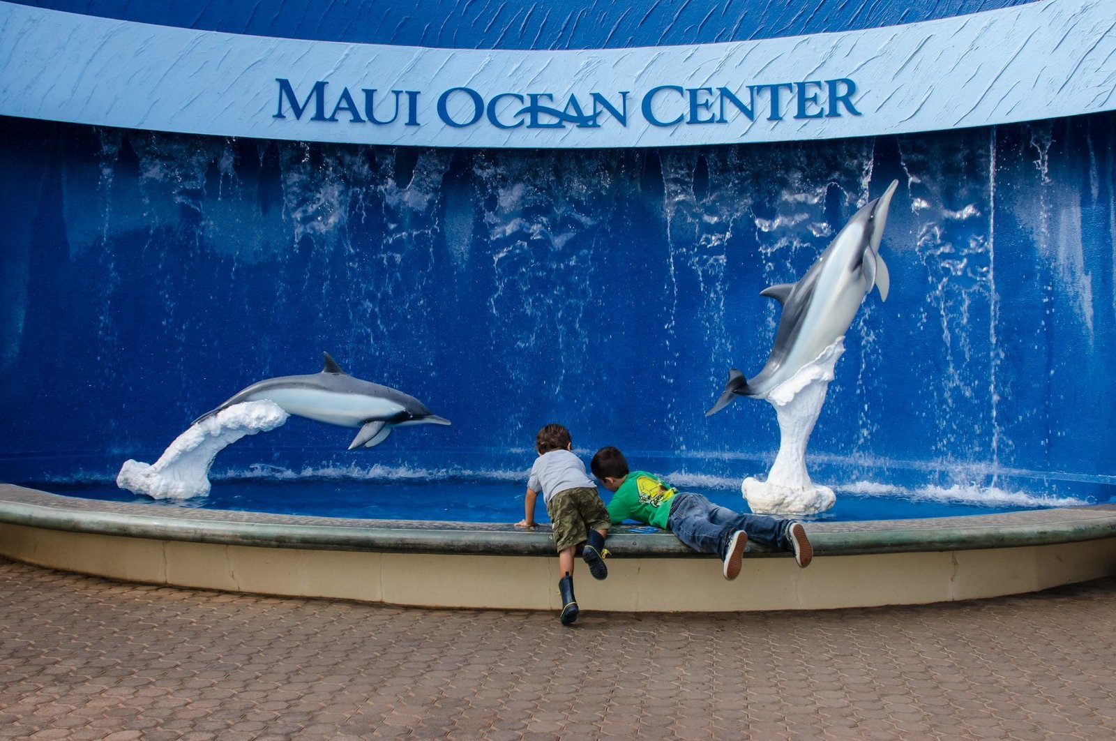 Maui Ocean Center, The Aquarium of Hawaii