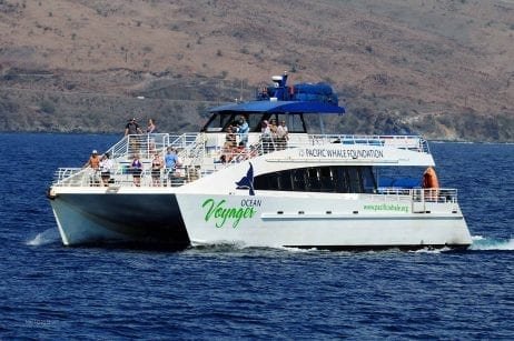 Maui Whale Watch Boat Tour