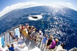 Adventure Photo Photographer 2857