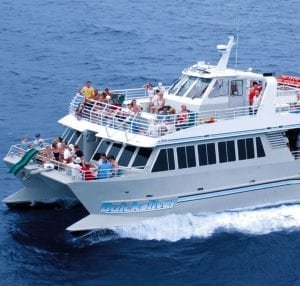 Quicksilver - Lanai Dolphin Snorkel (Quicksilver Boat)