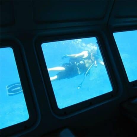 Maui Reef Dancer Viewing Screen