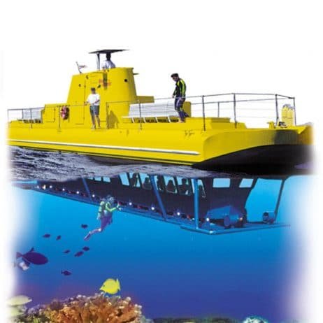 Reef Viewing Adventure & Dive Show in Maui