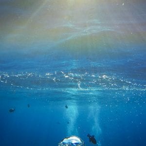 Seafire Charters - Express Molokini Snorkel (Bubble)