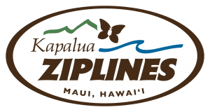 Maui Hawaii Kapalua zipline activity 531