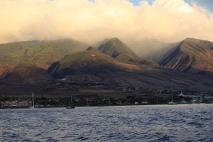Lahaina Maui Hawaii - 3186