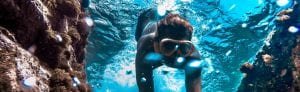 Best snorkeling tours in Maui 567