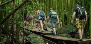 Hike adventure in Maui Hawaii 340