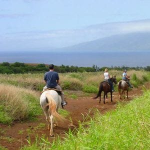 Saddle up and explore breathtaking scenery on Maui horseback riding adventure.