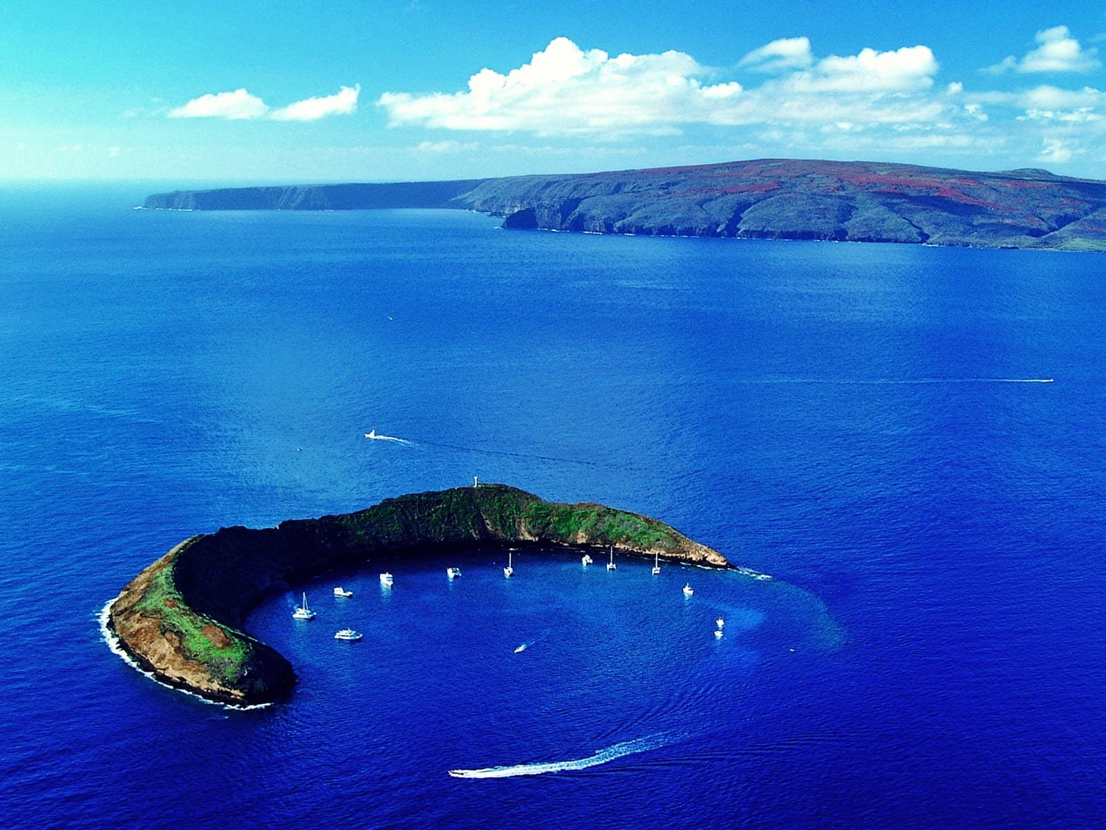 Pacific Whale Foundation – Molokini and Turtle Arches Snorkel