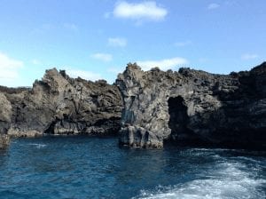 Snorkeling activities in Maui 460