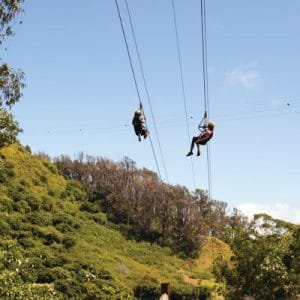 Piiholo Zipline 19