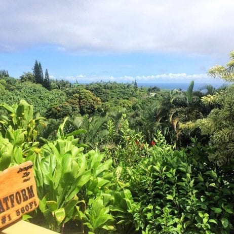 View from the Maui jungle zipline platform