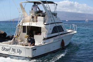 Start Me Up Lahaina Maui - 3181