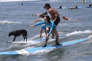 Hawaii surf lessons 239