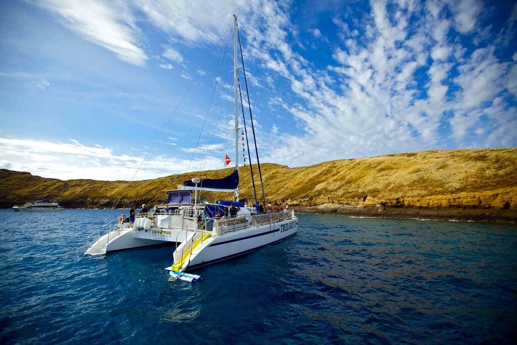 Trilogy Maui Savings On Molokini Snorkeling Maui Tickets For Less