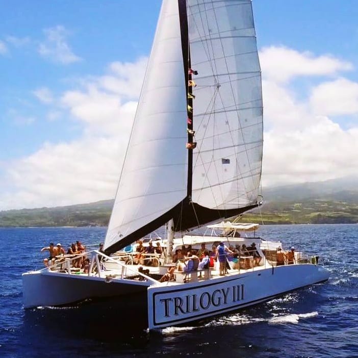 Trilogy Maui Whale Watch Tours – All Departures