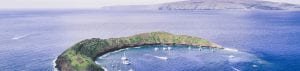 Calypso Maui Snorkeling Tours - 2047