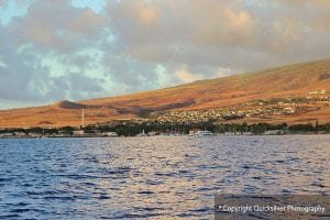 Quicksilver Maui Dinner Cruise, quicksilver maui dinner cruise review