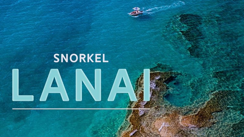 Lanai Snorkeling Tours from Maui