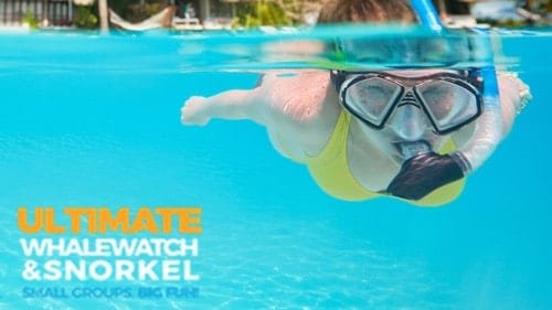 Maui Snorkel Trips