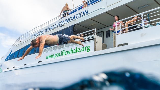 Pacific Whale Foundation Molokini