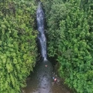 A serene waterfall nestled in a lush forest during the waterfall hike on Maui.