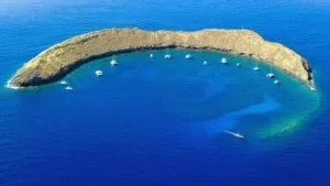 Molokini Crater Snorkel site Maui - 2063