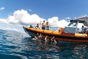 Seafire Charters Main Photograph