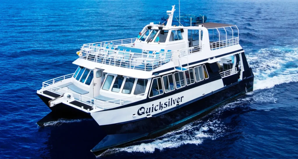 Dive Into Nature: Turtle Town Snorkeling with Quicksilver