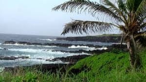 camp kipahulu featured image