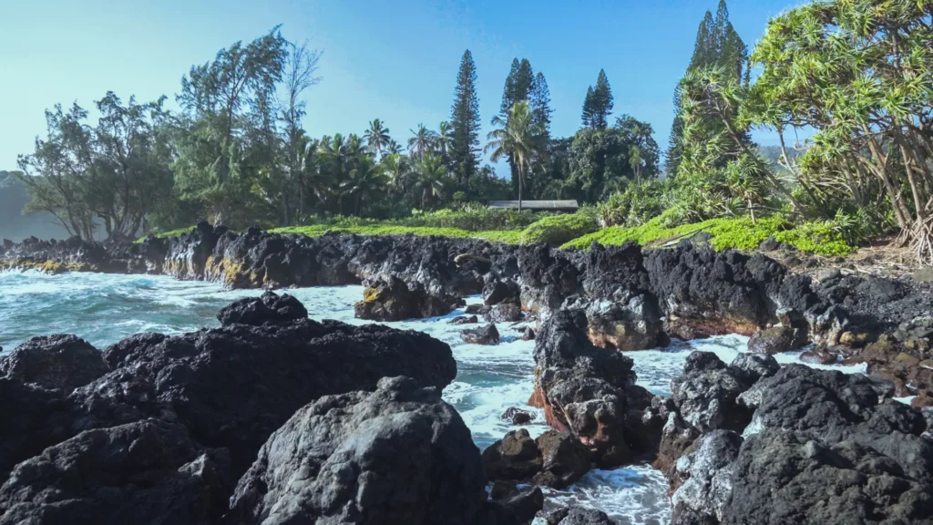 Aloha Sunshine Tours – The Road to Hana Tour