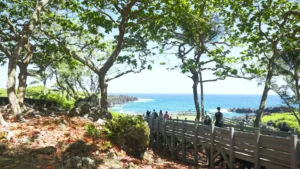 Road to Hana tour
