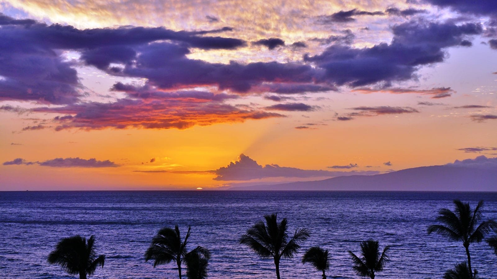 Maui Dinner Cruise